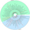 Fig 7