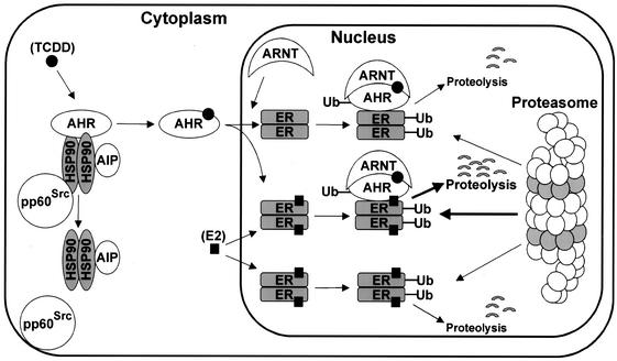 FIG. 9.