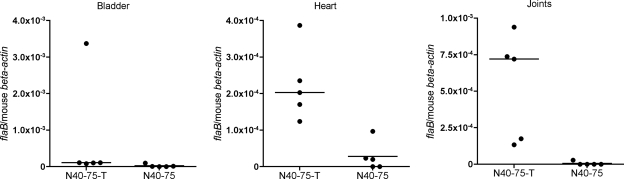 FIG. 5.