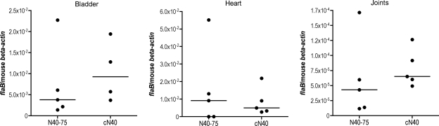 FIG. 3.