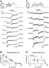 Figure 4 |