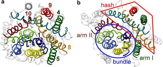 Fig. 1