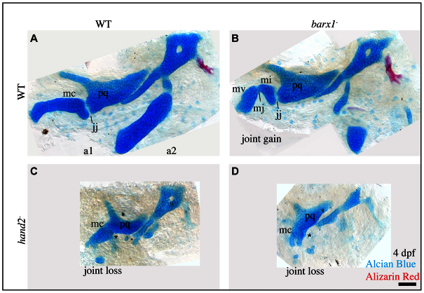 Fig. 6.