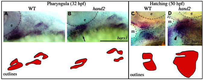 Fig. 8.