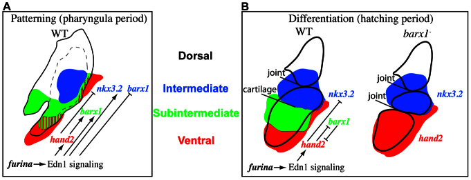 Fig. 9.