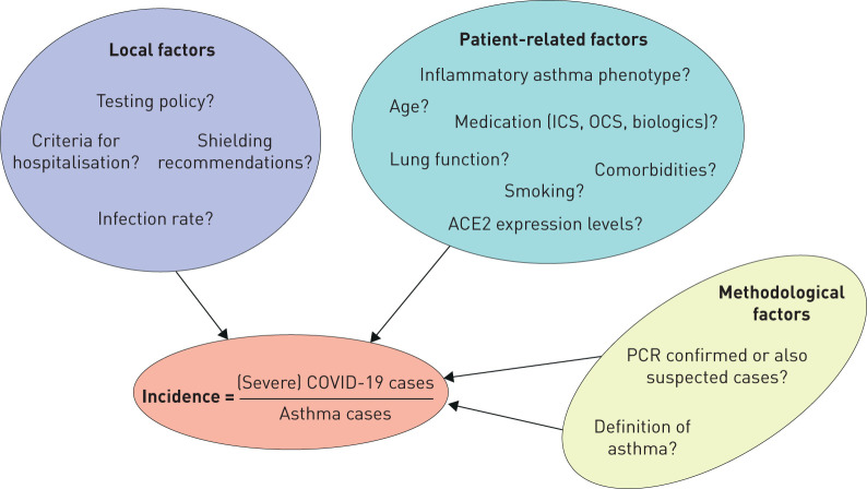 FIGURE 1