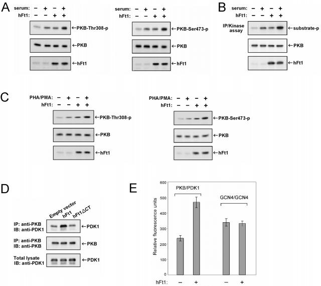 FIG. 3.