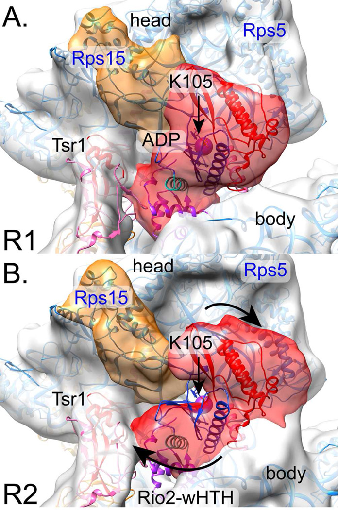 Fig. 3