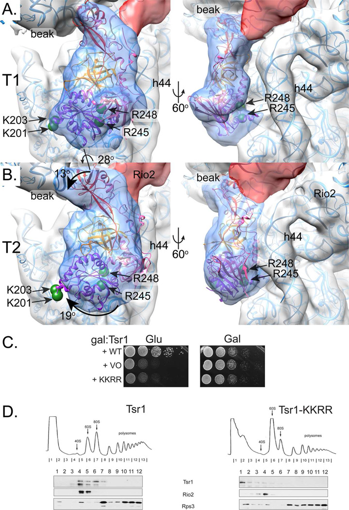 Fig. 2