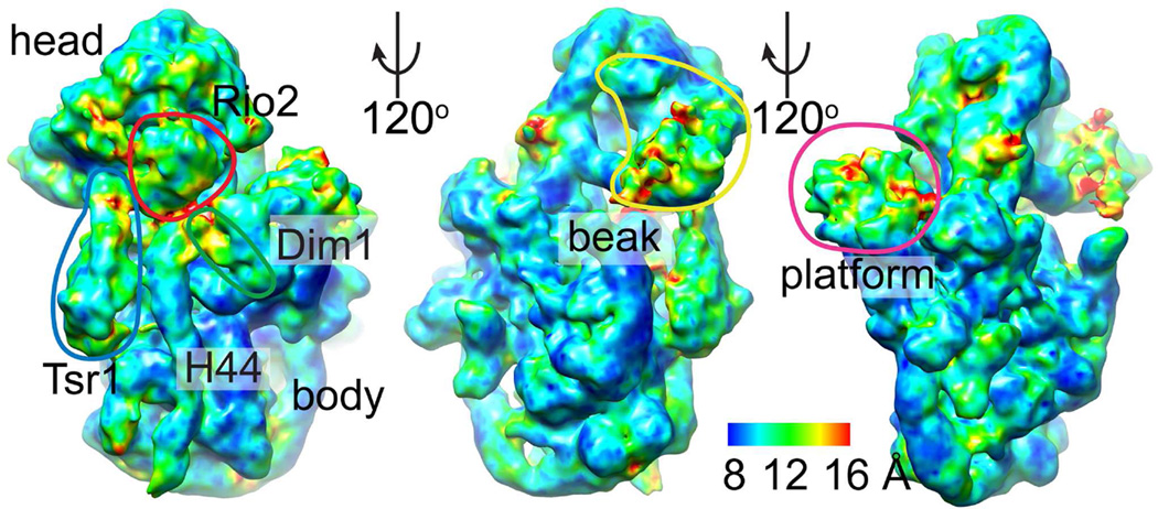 Fig. 1