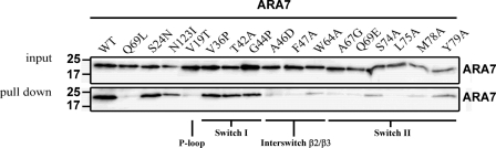 FIGURE 2.