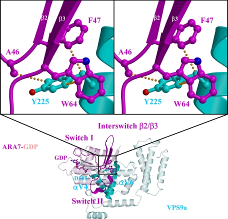 FIGURE 3.