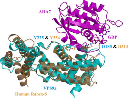 FIGURE 5.