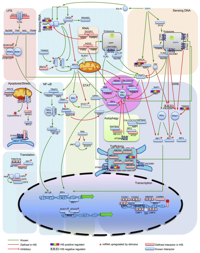 Figure 7