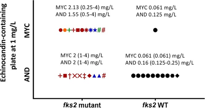 FIG 2