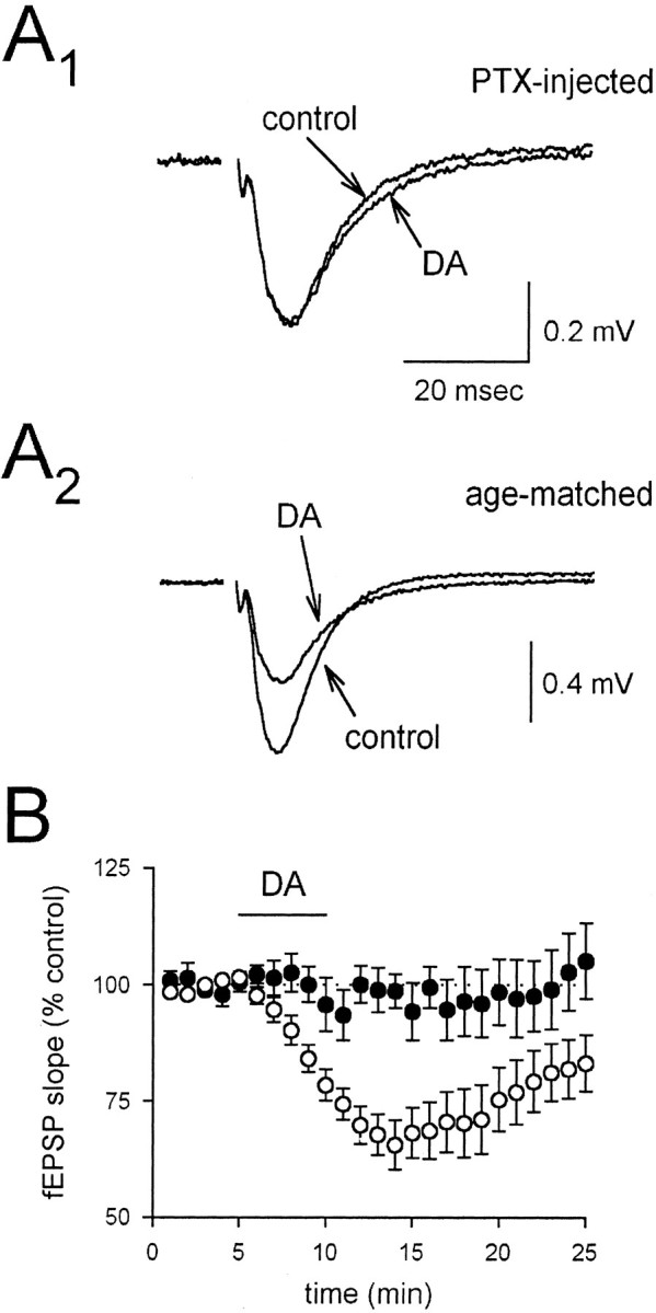 Fig. 9.