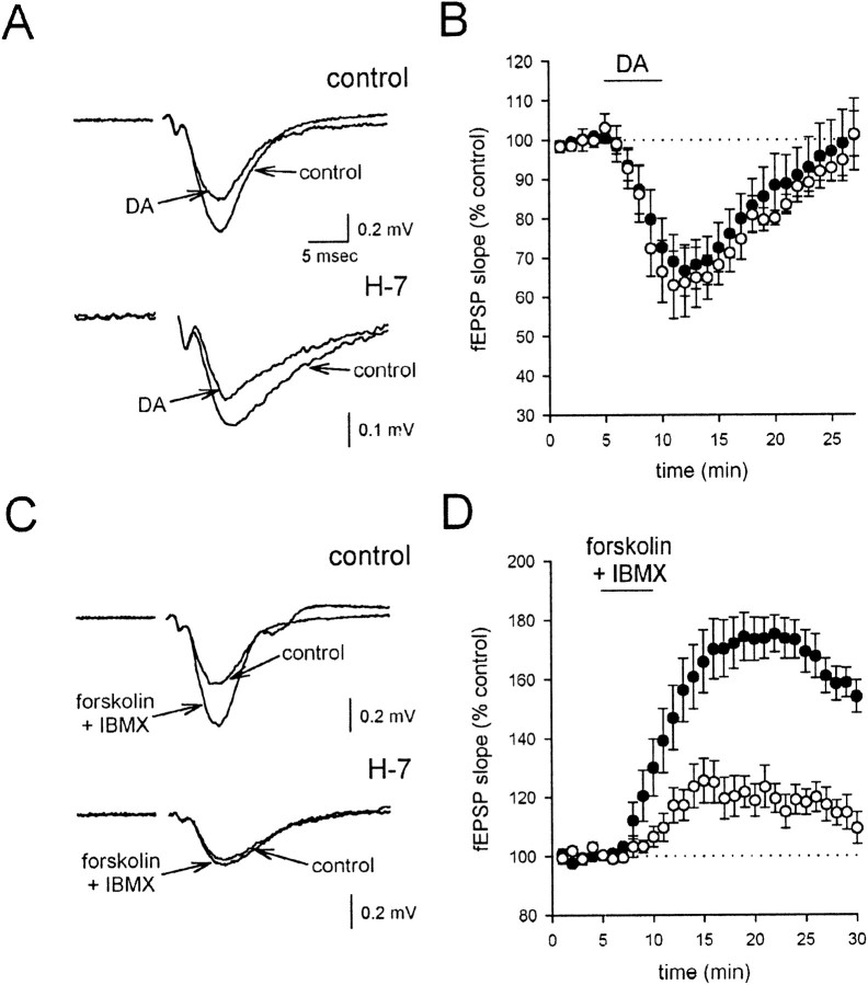 Fig. 10.