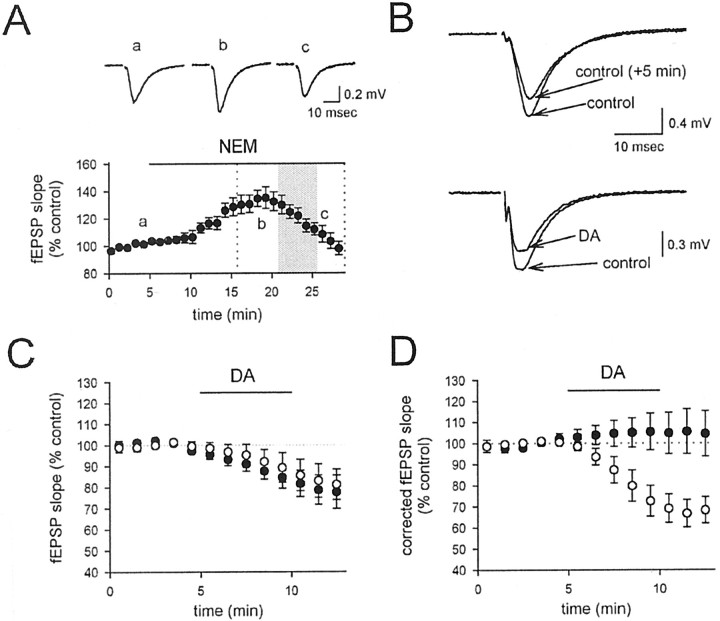 Fig. 8.