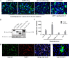 FIG 6