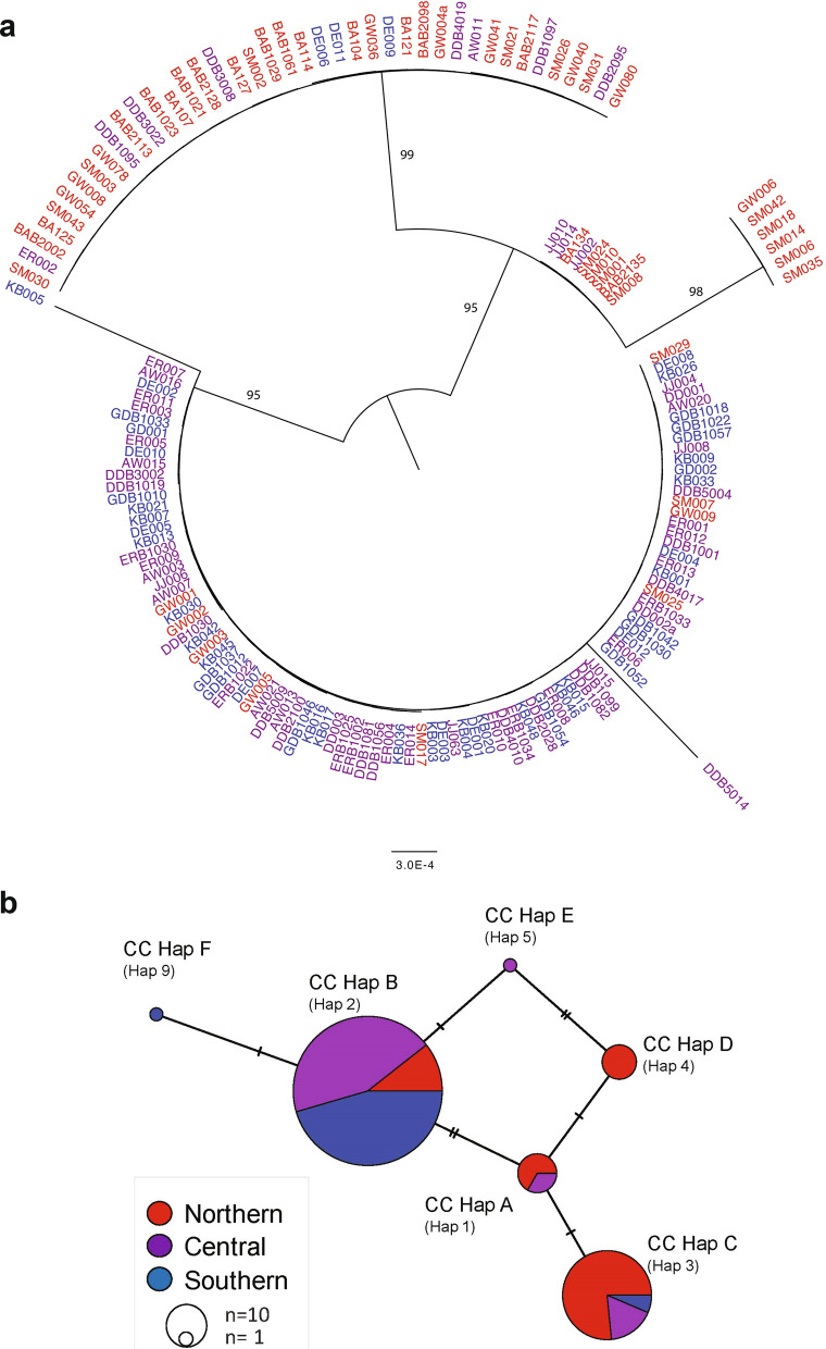 Fig. 2
