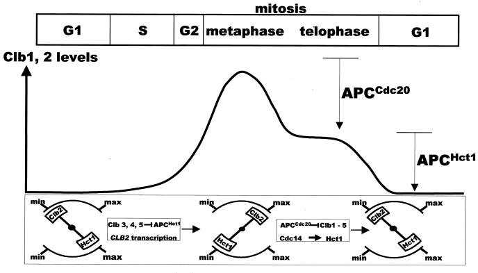 FIG. 7