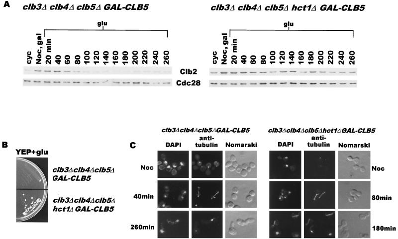 FIG. 4