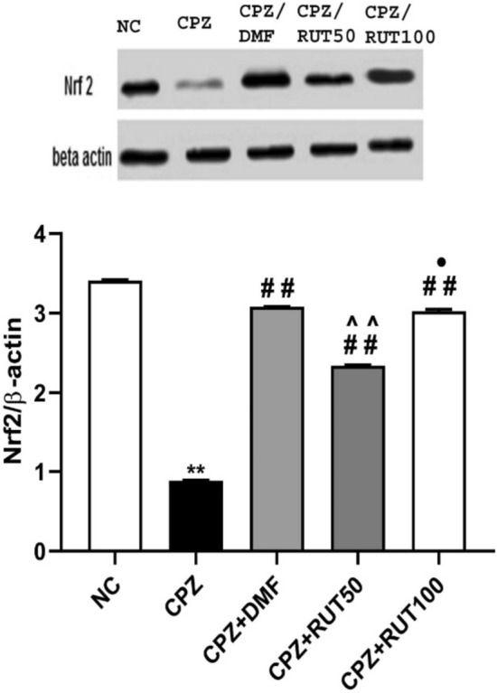 Fig. 9