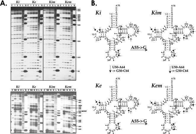 FIGURE 4.