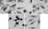 FIG. 7.