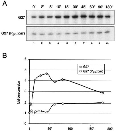 FIG. 5.