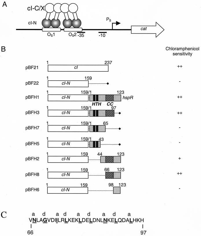 FIG. 6.