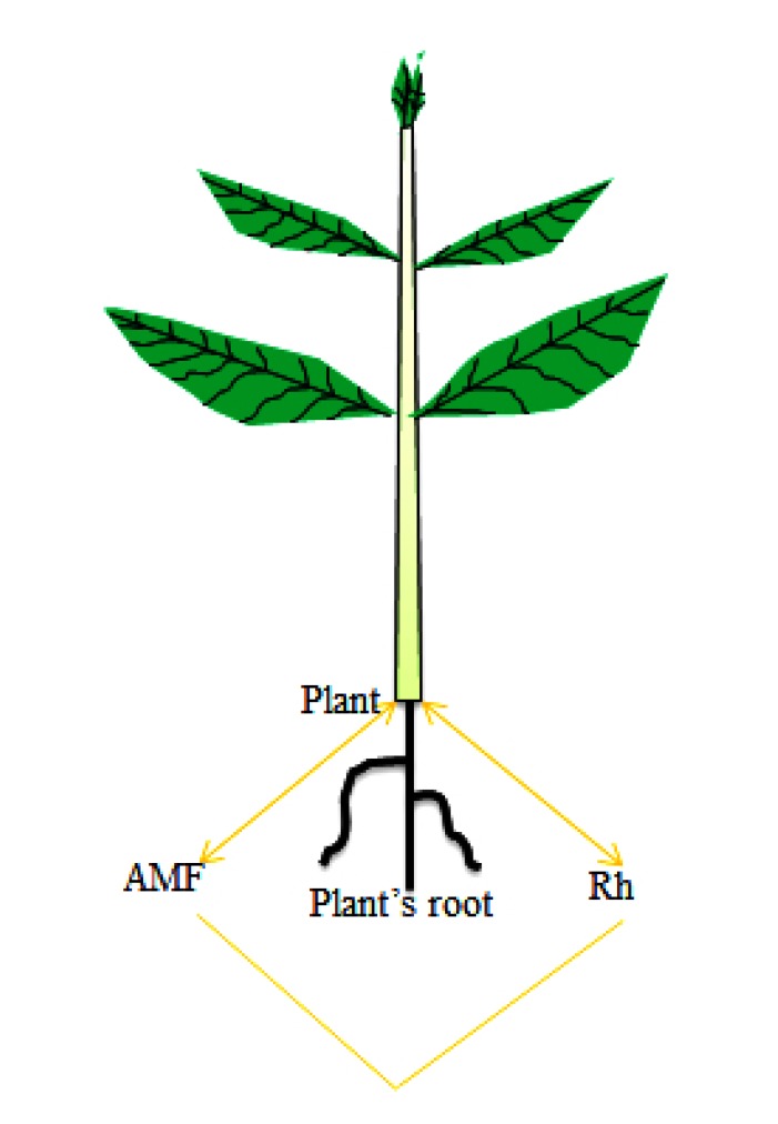 Fig. (2)