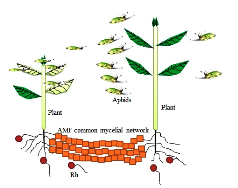 Fig. (3)