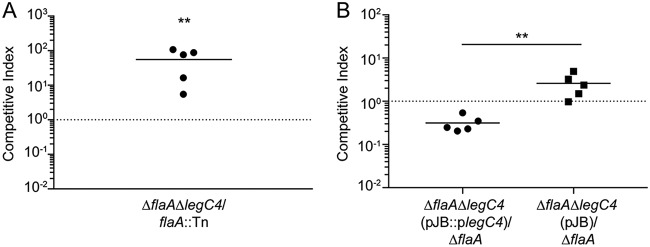 FIG 1