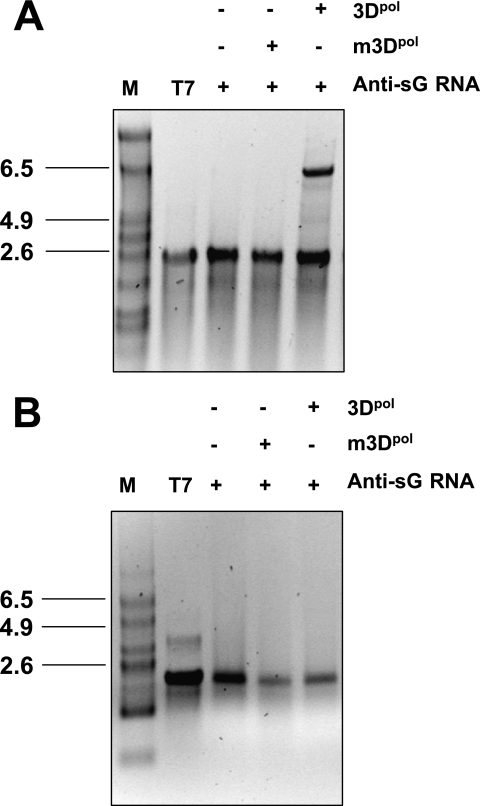 FIG. 7.