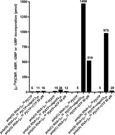 FIG. 8.