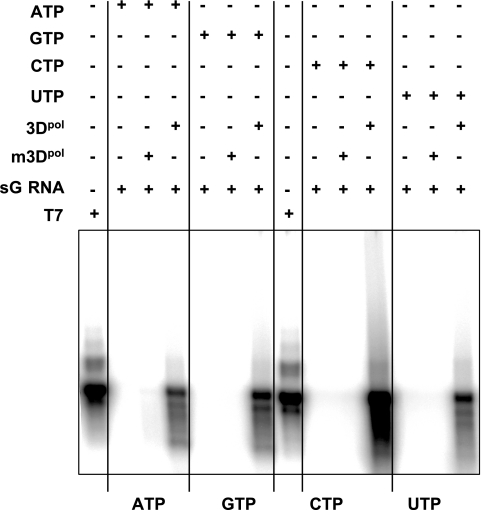 FIG. 9.