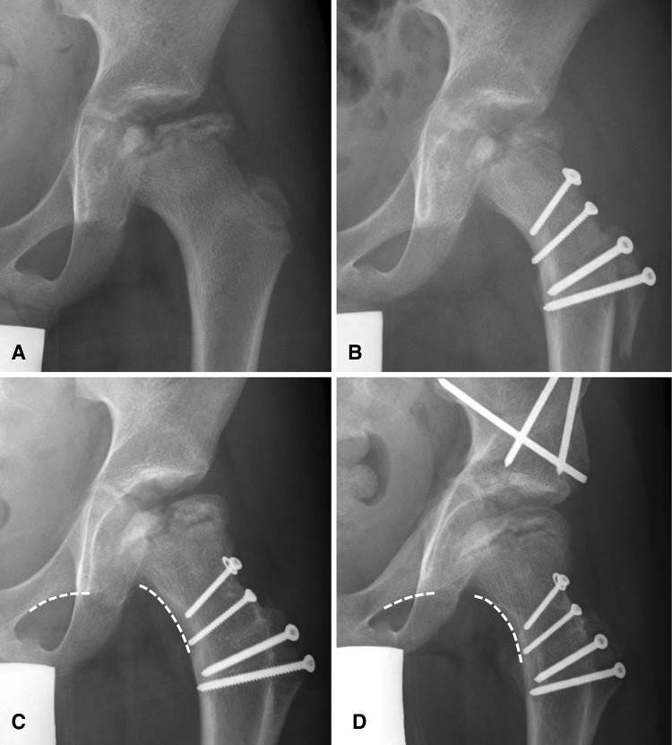 Fig. 3A–D