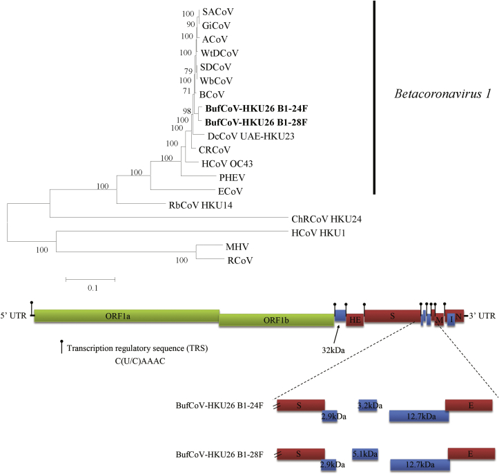 Fig. 1