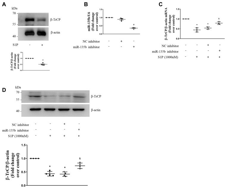 Figure 5