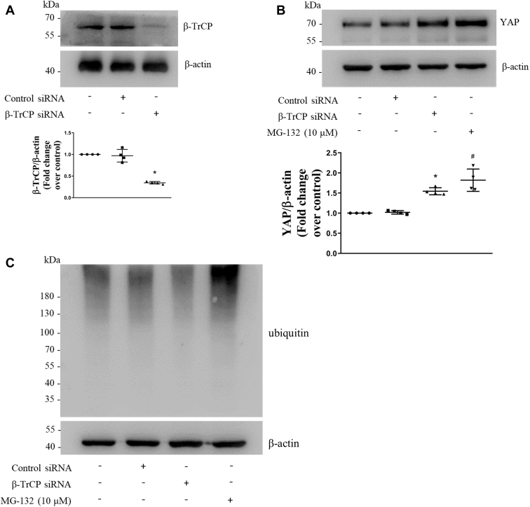 Figure 6