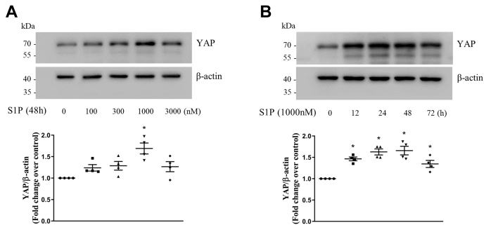 Figure 1