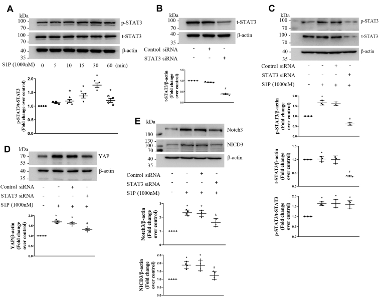 Figure 3