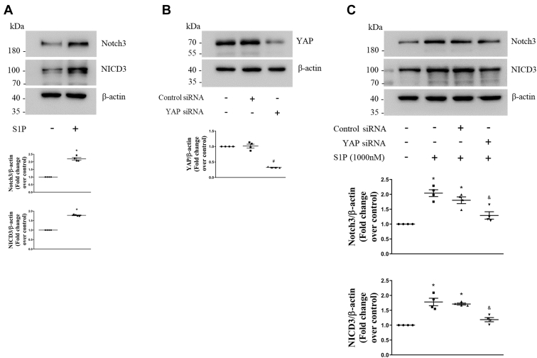 Figure 2