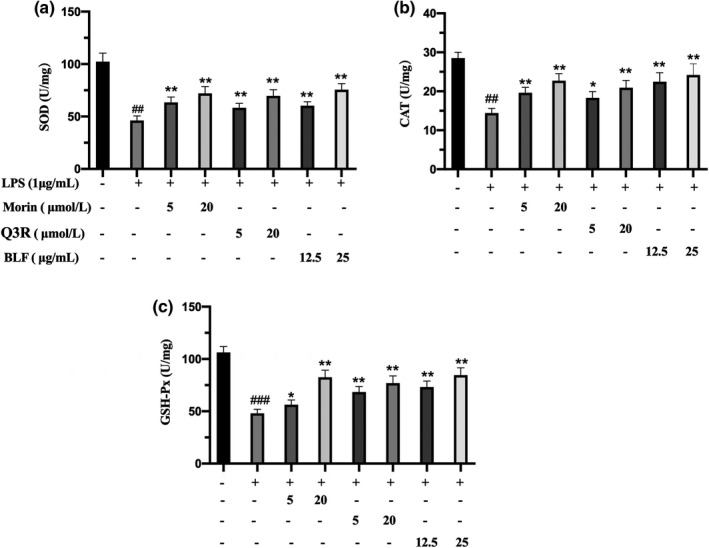 FIGURE 3