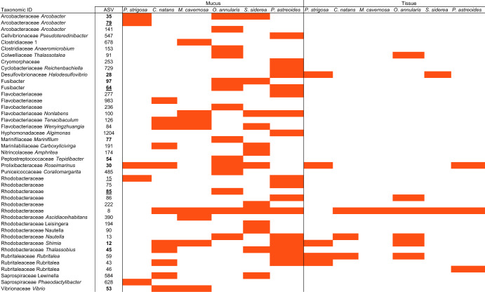 graphic file with name 43705_2022_126_Tab1_HTML.jpg