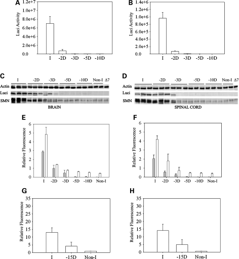 Figure 6.