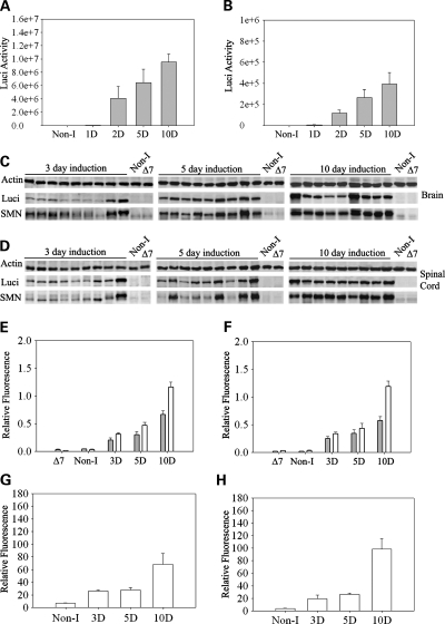 Figure 2.