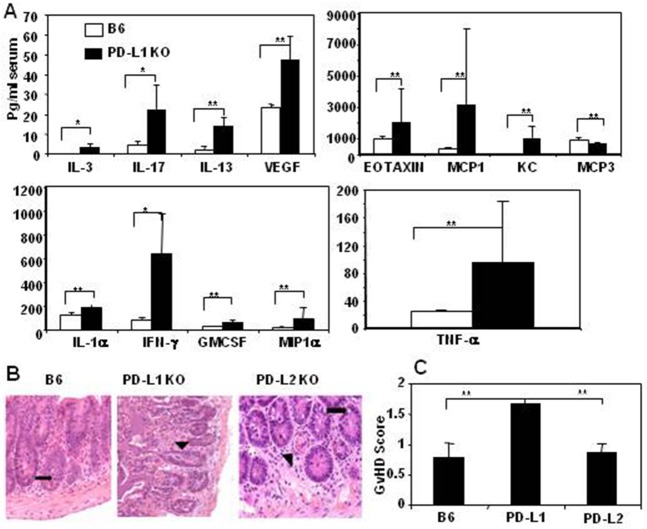 Fig 8