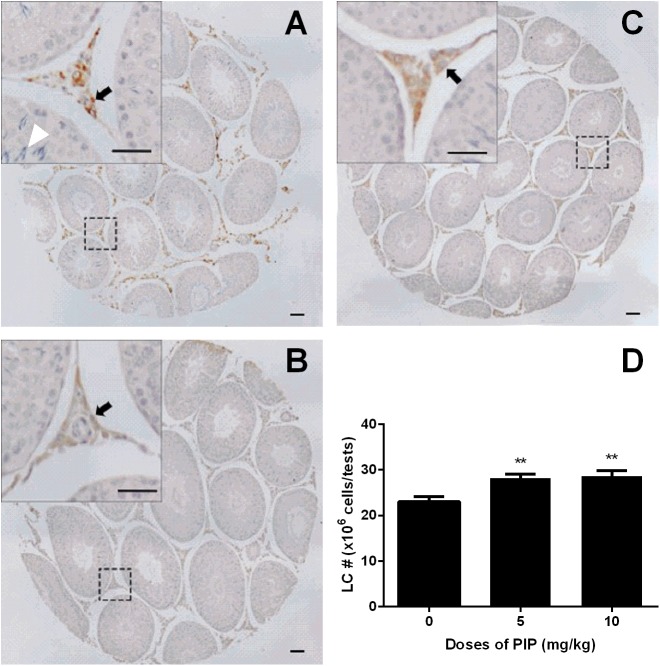 FIGURE 3